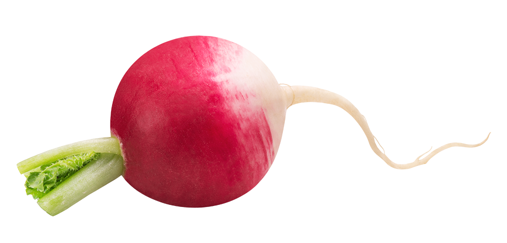 rados