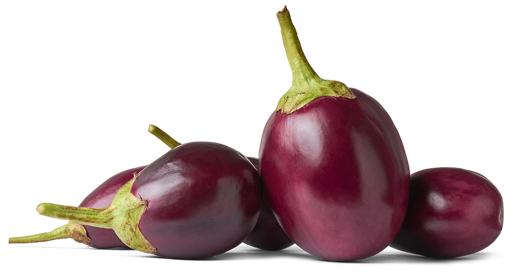 aubergine