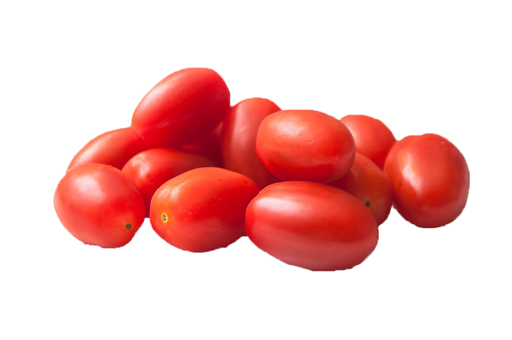 tomate pigeon