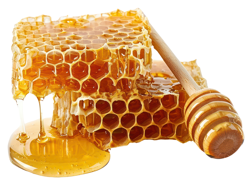 bonon