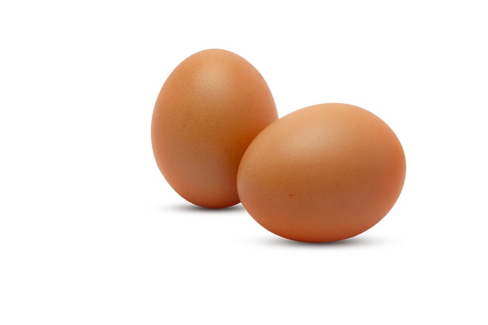 Oeufs d'oie à La Tranche sur mer 