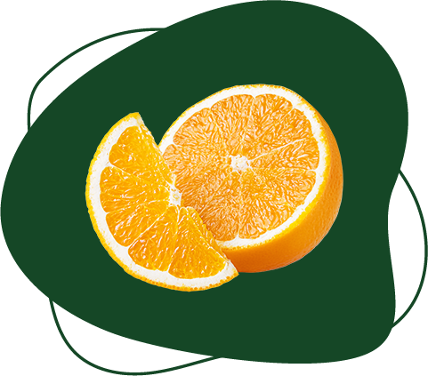 fruit2