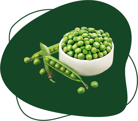 legume